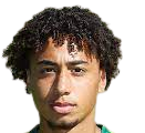 https://img.wxlrft.com/img/football/player/347a6d58ae7ec0425a4d42bc9215c411.png